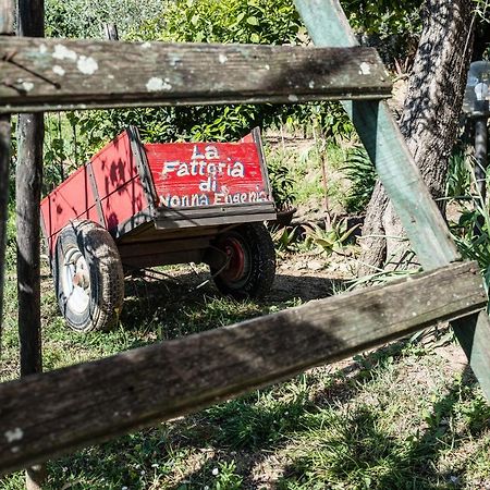 La Fattoria di Nonna Eugenia Bed and Breakfast Lerici Esterno foto