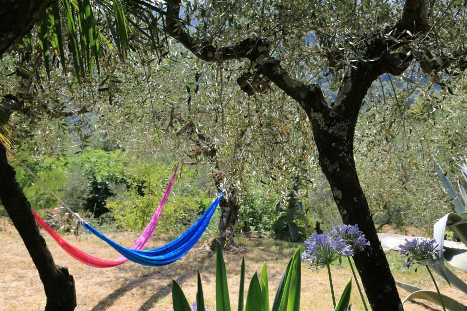 La Fattoria di Nonna Eugenia Bed and Breakfast Lerici Esterno foto